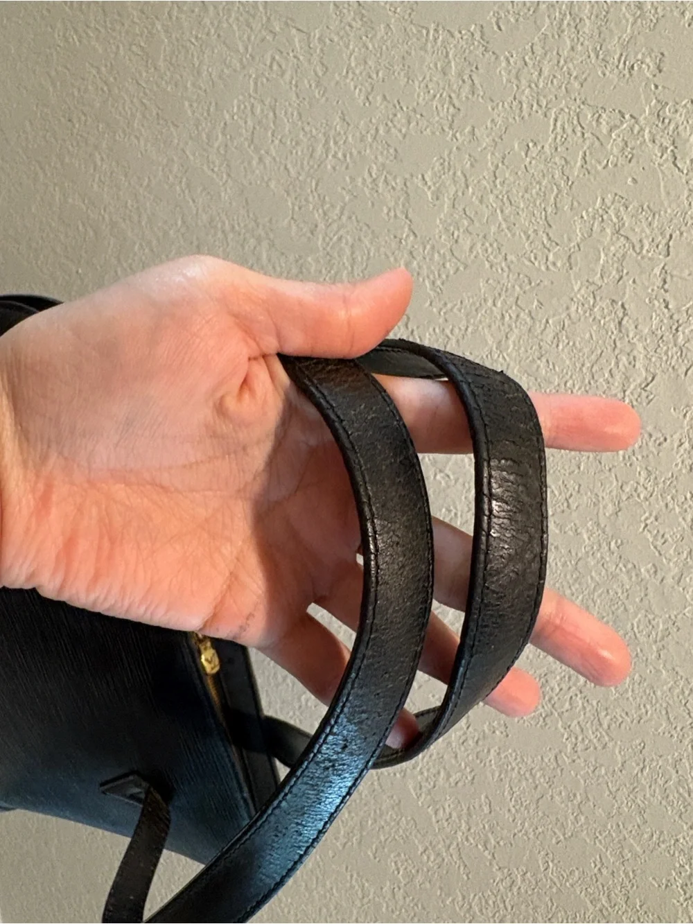 Louis Vuitton authentic louis